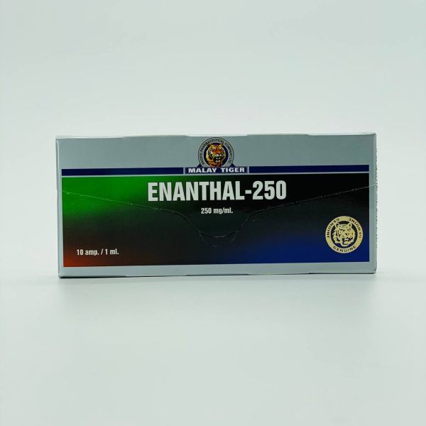 Verpackung Enanthal – 250 250 mg Malay Tiger